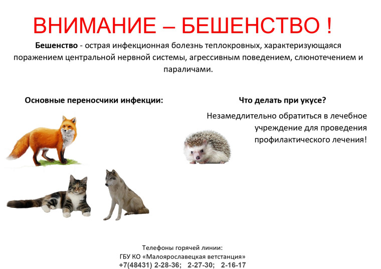 Памятки для населения. Памятки для населения.